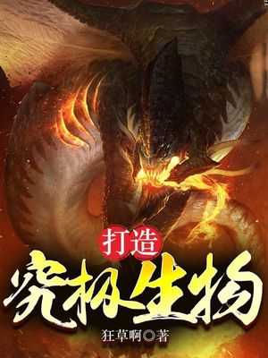 ���쾿������