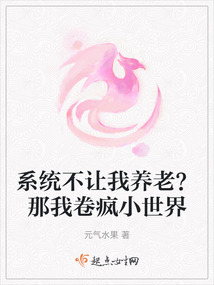 ϵͳ���������ϣ����Ҿ���С����