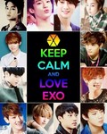 EXO������İ�