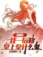 海贼：我一后勤，皇上皇什么鬼
