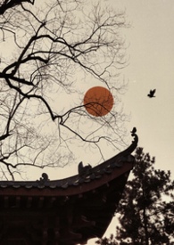 ȸ�����ǿƣ�