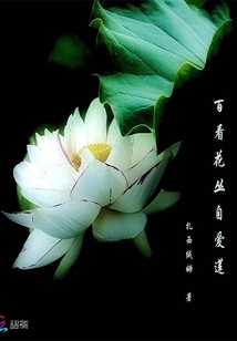 �ٿ������԰���