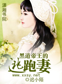 �ڵ�������������