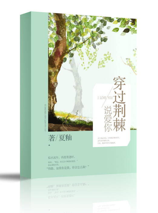 ��������˵����