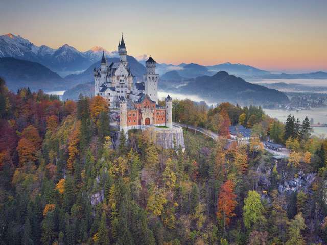 ��ī����