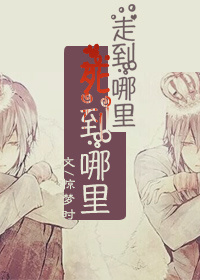 �ߵ�������������