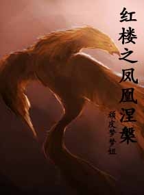 ��¥֮�������