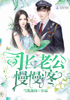 ˾���Ϲ���������