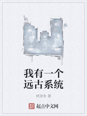 ����һ��Զ��ϵͳ