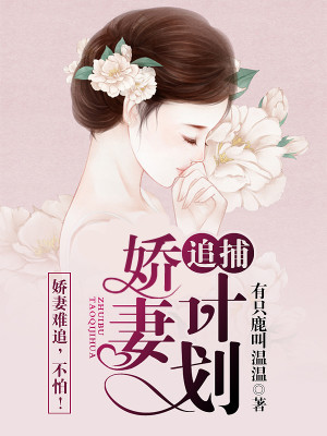 ׷�����޼ƻ�